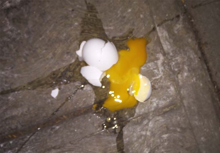 Closeup of a smashed egg on a flagstone floor.