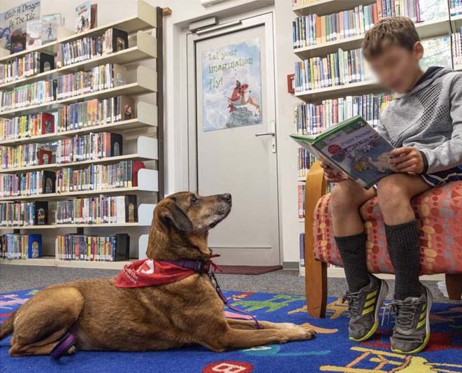 In the background is a wall lined with books and in the foreground a young man in shorts and a jacket reads a book to an attentive dog lying on the floor in front of him.