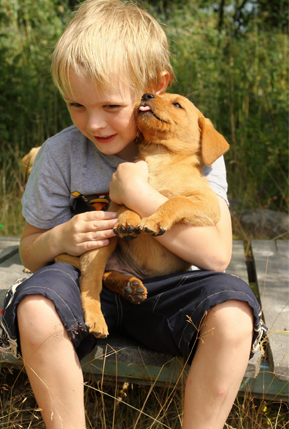 A boy holding his puppy