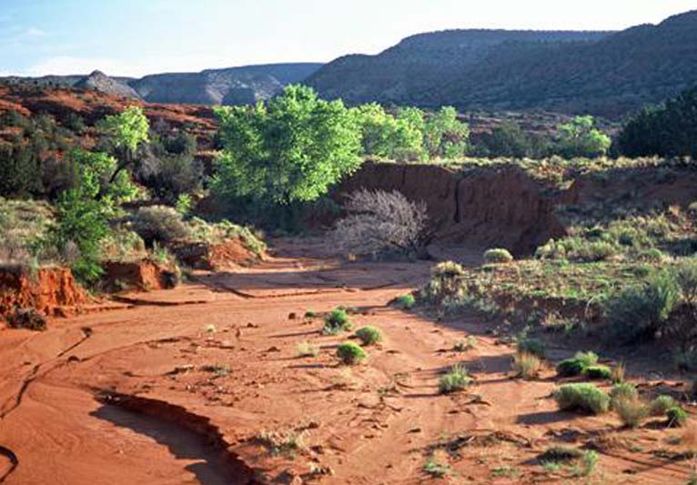 Red dirt distinguishes the floor of the arroyao along with green trees on the left.