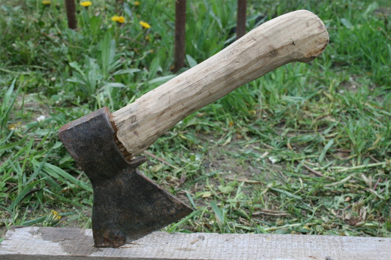 A short-handled ax with part of the blade in a board against a field