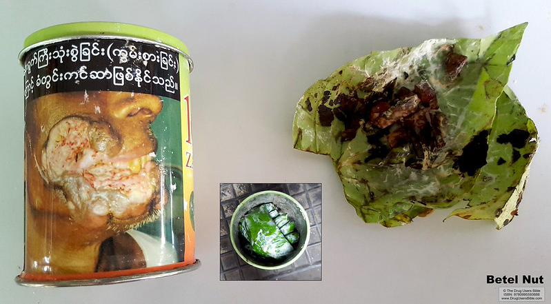 A can of prepared betel leaf, a bowl of betel packets, and an unwrapped betel leaf with contents