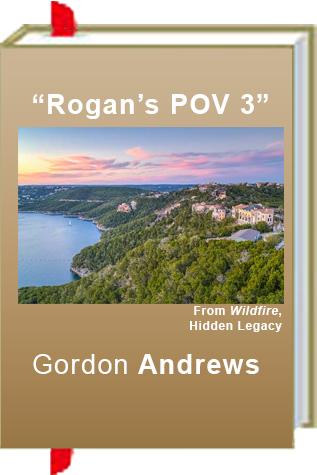 Book Review: Gordon Andrews’ “Rogan’s POV #3”