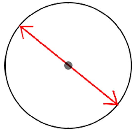 A circle outlined in black with a large black dot in the center with a double-ended red arrow bisecting the circle.