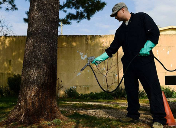 US Air Force Tech Sgt Adrian Pozo-Romero, 31st Civil Engineer Squadron, sprays a tree for caterpillars.