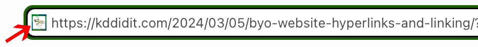 A narrow rectangular box encasing the favicon and the site address with a red arrow pointing to the favicon.