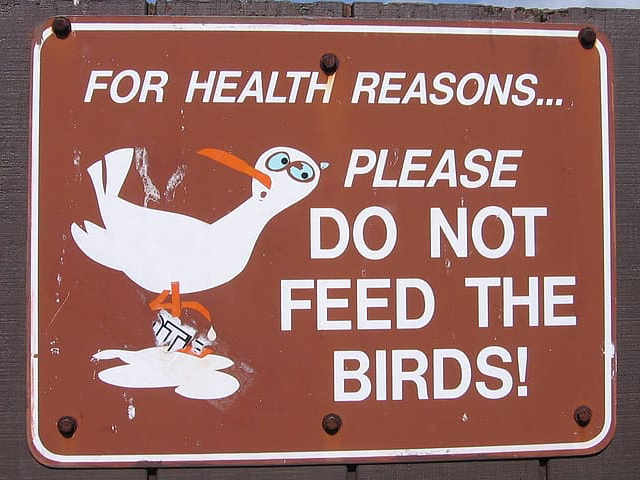 Brown sign with rounded corners and a white outline has a cartoon bird and words that ask people to not feed the birds for health reasons
