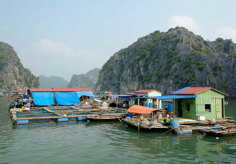A colorful settlement floating on a wood-framed platform atop oil drums consisting a several buildings all with red roofs, some sheltered by blue tarp awnings, painted in pastles of green and blue and set among towering rock mountains.