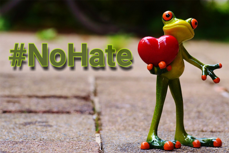 A frog holding a heart to the left of a hashtag reading No Hate.