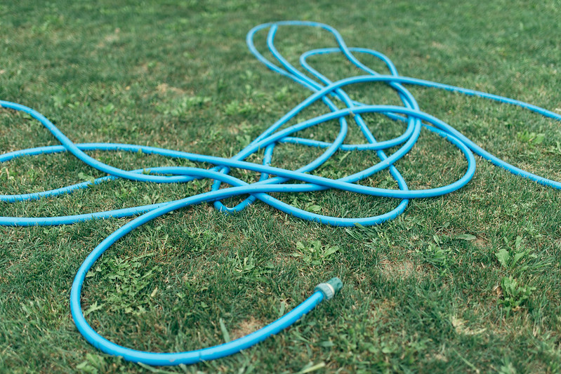 A blue rubber hose is sprawled out across weedy green grass