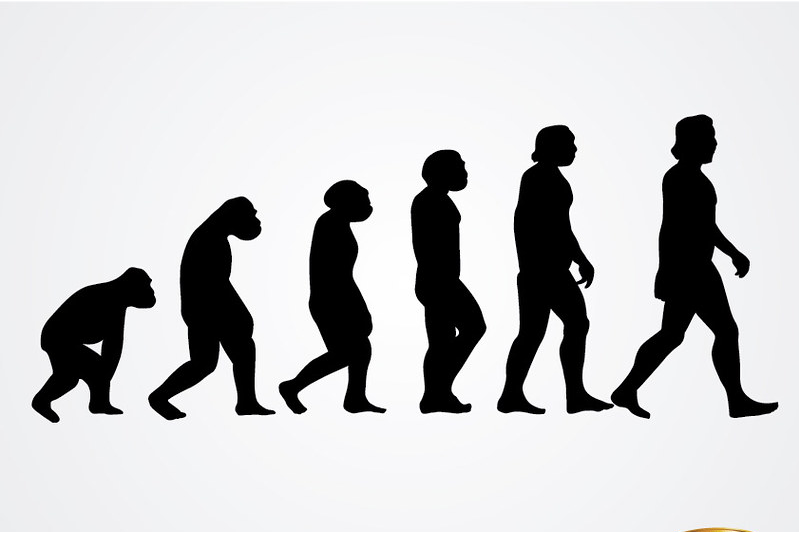 Black silhouettes showing man's evolution from the ape