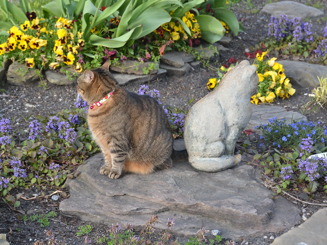 A cat in profile sits opposite it's mirror image of the statue of a cat on top of a rough paving stone in a garden