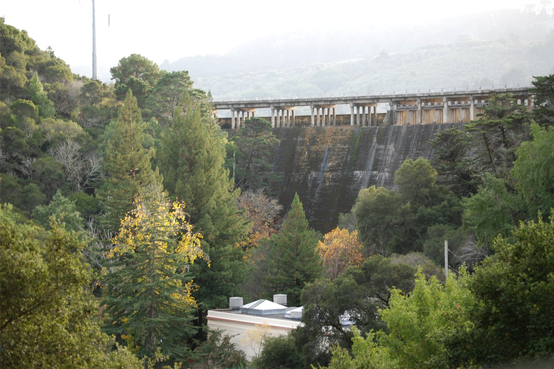 Beneath the dam is a hillside of trees and shrubs.