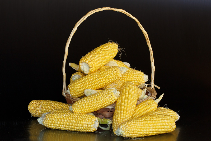 Ears of shucked maize spilling out of a basket against a black background