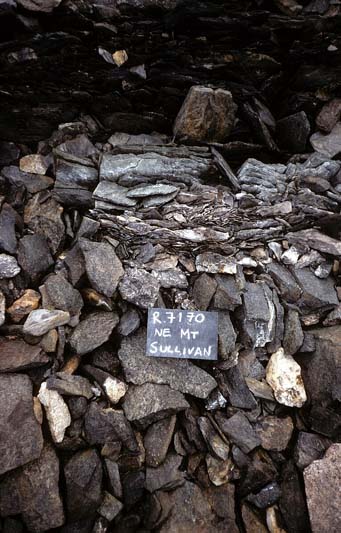 Dark slabs of rock.