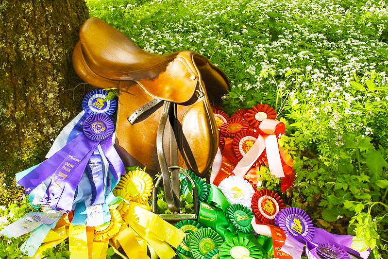A riding saddle at the base of a tree surrounded by blue, yellow, green, white, pink, purple, and red prize ribbons