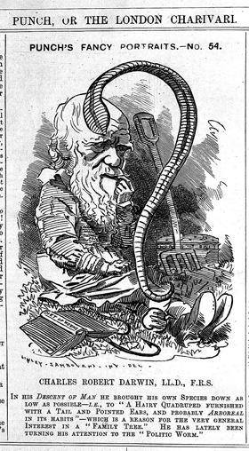 Caricature of Charles Darwin with an earth worm.