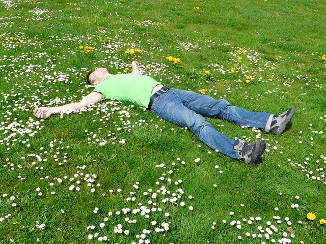 A man lying flat in a field of white flowers