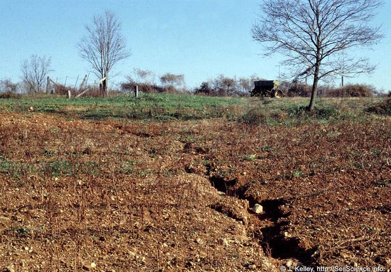 A meandering crack in a dry field. Trees, brush, and green grass are in the background.