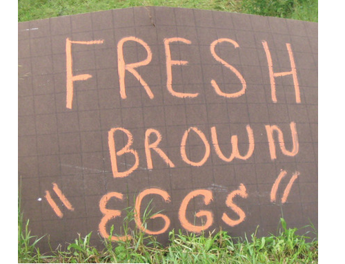 Light peach words on a brown background tells us that fresh brown eggs are available
