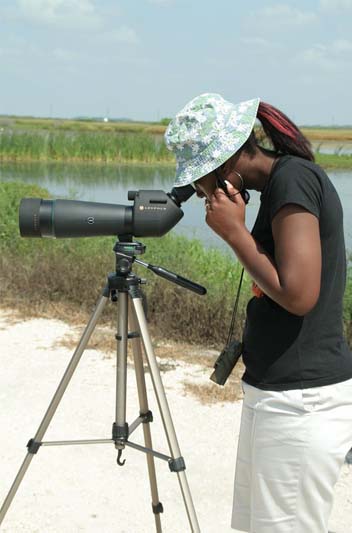 Birder with scope at STA 5 in Clewiston: A birder scopes the wetlands at Stormwater Treatment Area 5 for waterfowl, wading birds and shorebirds. Photo by Mark Kiser/FWC