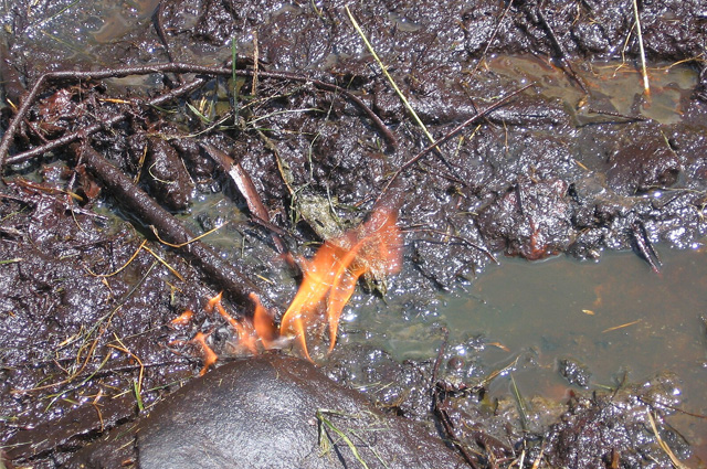 A mud and twig-strewn close-up of a liquid seep that's on fire.