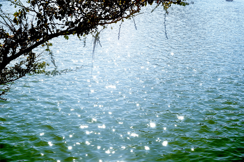 A close-up of sparkles of sunlight shimmering on blue-green water