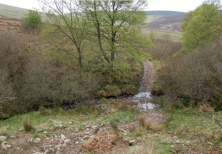 A small stream in a gully that crosses a sunken foot path.