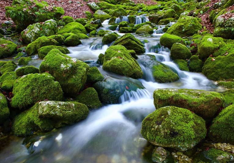 Water rushing down a green-bordered waterfall