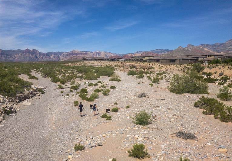 A broad desert valley with houses to the right and two people and their dog hiking.