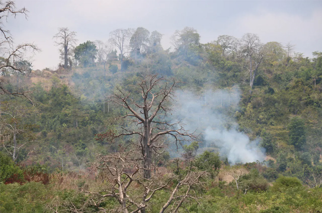 Small-scale biomass and trash burning were a common occurrence in the dry northern side of São Tomé island.