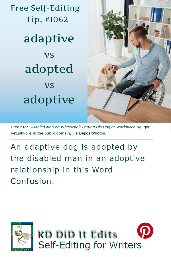 Pinterest pin for Adaptive vs Adopted vs Adoptive