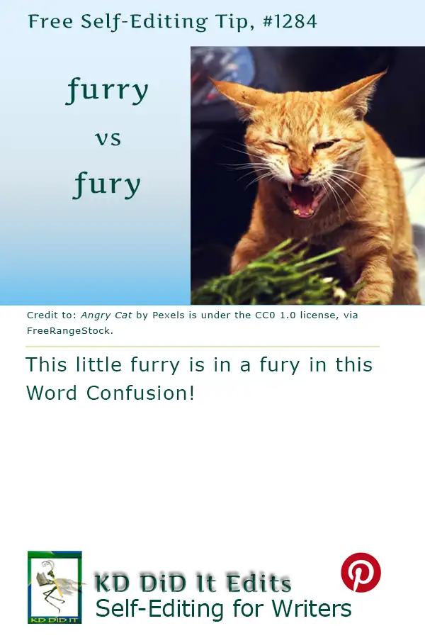Pinterest pin for Furry versus Fury