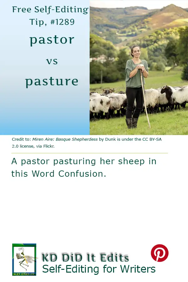 Pinterest pin for Pastor versus Pasture