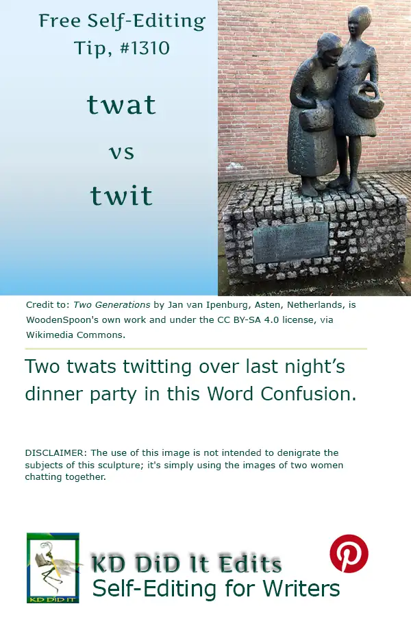 Pinterest pin for Twat versus Twit