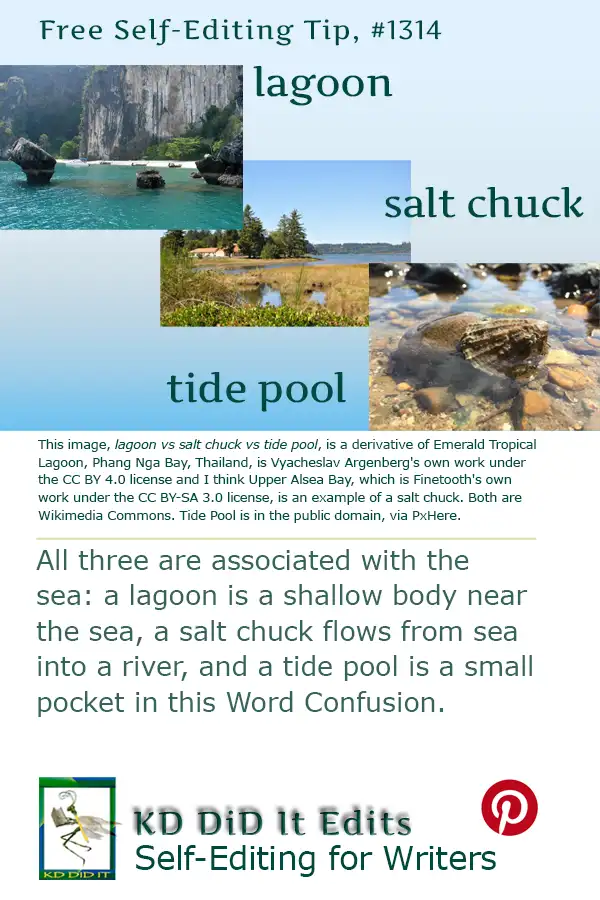 Pinterest pin for Lagoon vs Salt Chuck vs Tide Pool