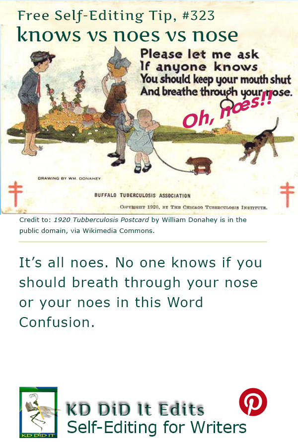 Word Confusion: Knows vs Noes vs Nose
