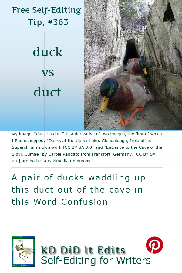 Pinterest pin for Duck versus Duct