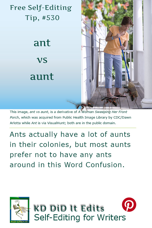Pinterest pin for Ant versus Aunt