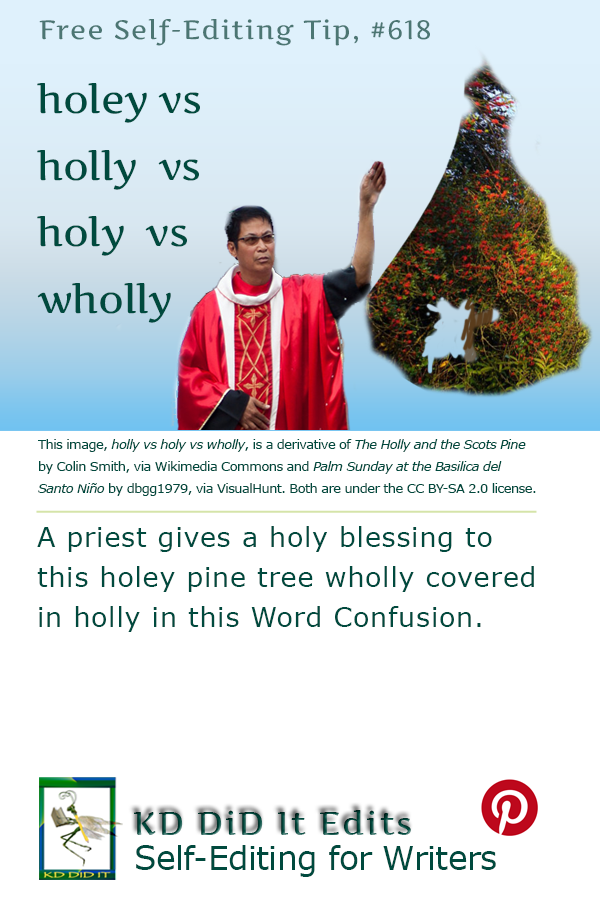 Pinterest pin for Holey vs Holly vs Holy vs Wholly