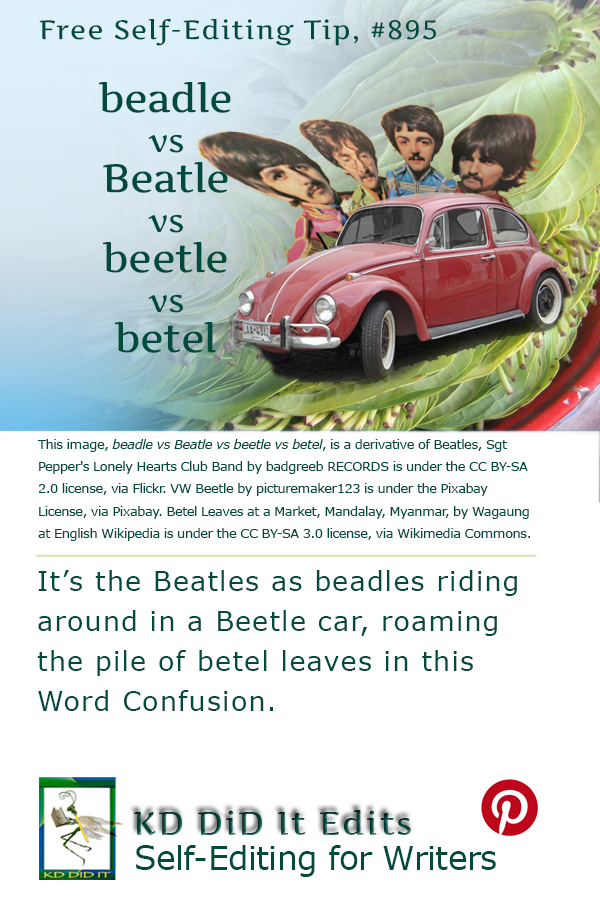 Pinterest pin for Beadle vs Beatle vs Beetle vs Betel