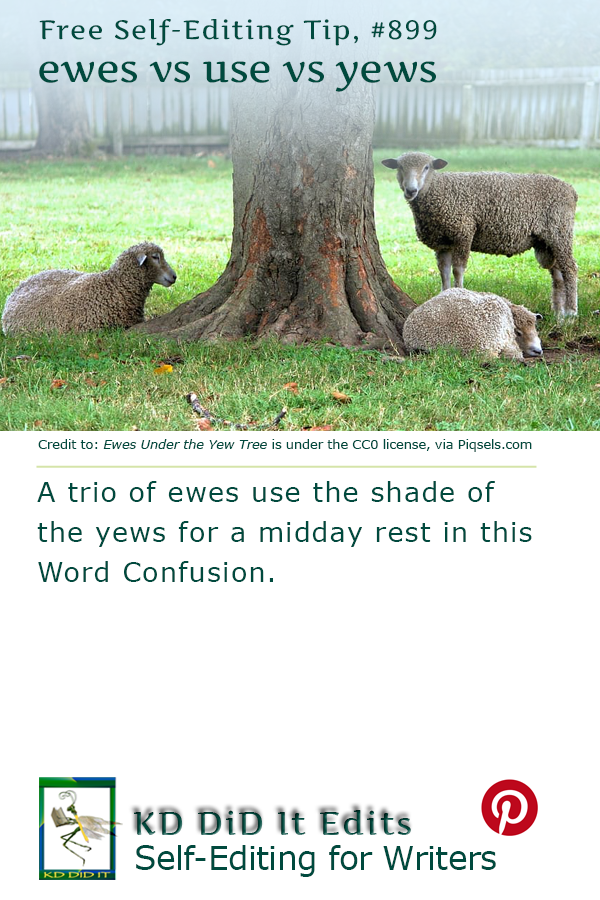 Pinterest pin for Ewes vs Use vs Yews