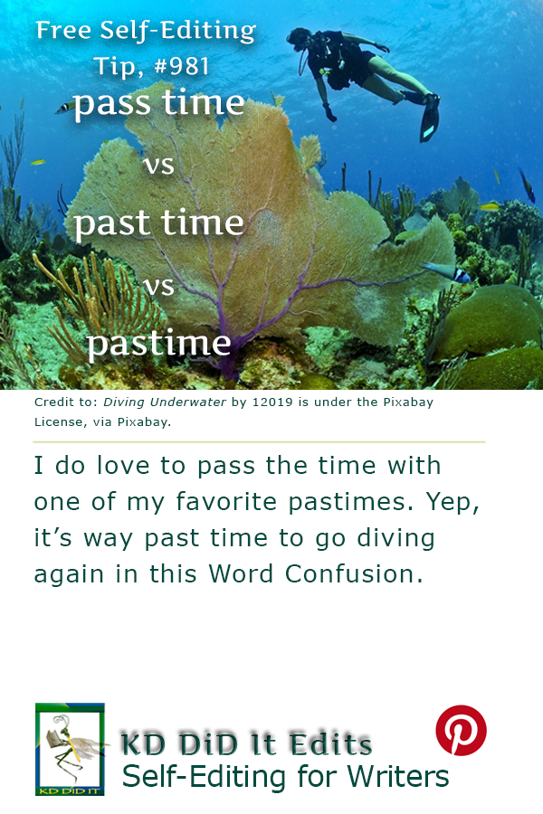 Pinterest pin for Pass Time vs Past Time vs Pastime