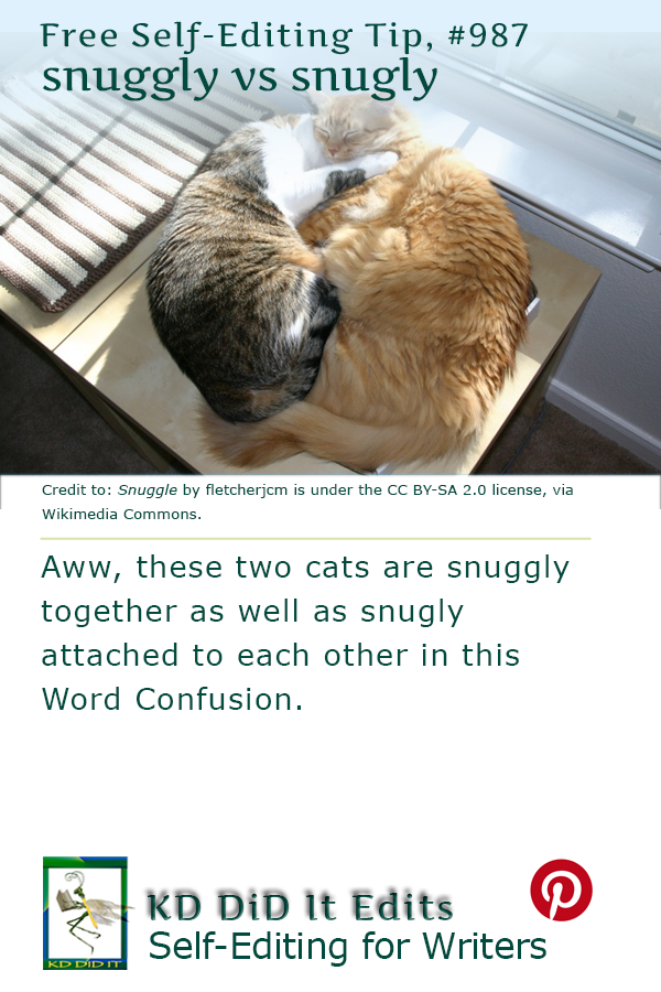 Pinterest pin for Snuggly versus Snugly